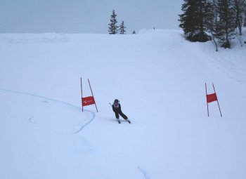 Slalom