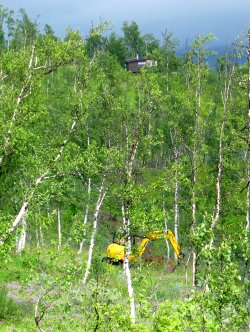 Gravemaskin i skogen